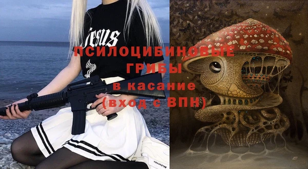 стафф Арсеньев